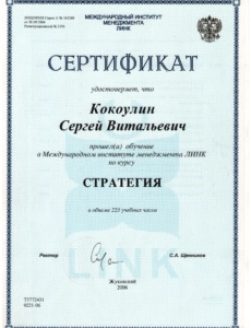 Стратегия-ЛИНК
