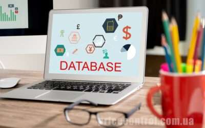How Collecting and Managing a Customer Database Impacts a Company’s Competitive Advantage